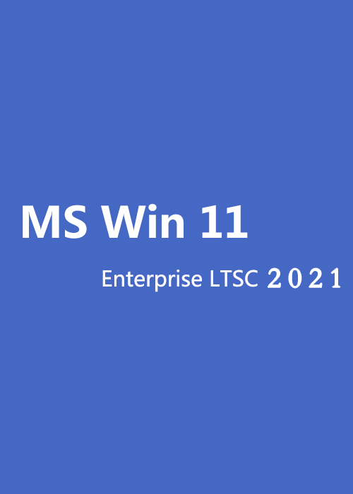 Windows 11 Enterprise LTSC 2021 CD Key Global(google)